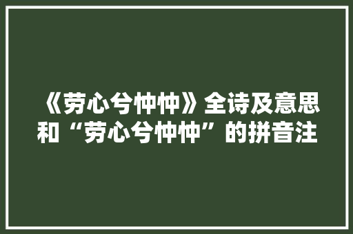 《劳心兮忡忡》全诗及意思和“劳心兮忡忡”的拼音注释