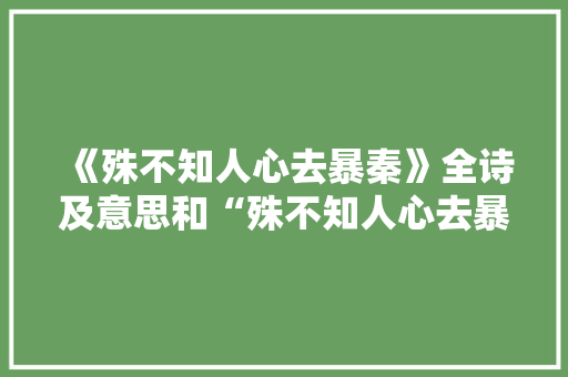 《殊不知人心去暴秦》全诗及意思和“殊不知人心去暴秦”的拼音注释