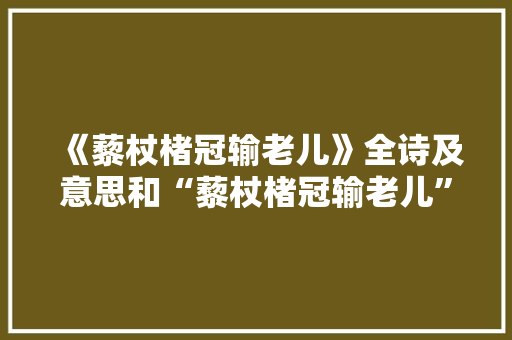 《藜杖楮冠输老儿》全诗及意思和“藜杖楮冠输老儿”的拼音注释