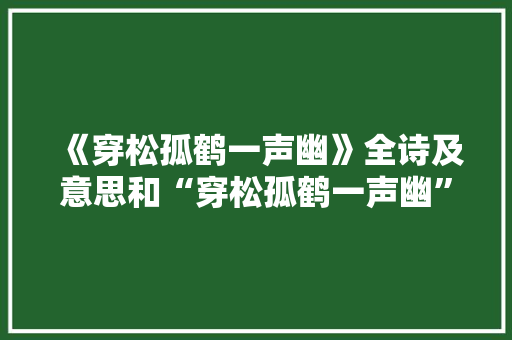 《穿松孤鹤一声幽》全诗及意思和“穿松孤鹤一声幽”的拼音注释 诗词鉴赏