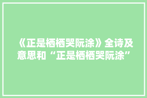 《正是栖栖哭阮涂》全诗及意思和“正是栖栖哭阮涂”的拼音注释