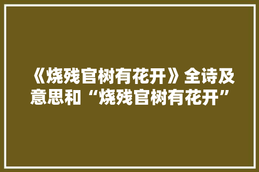 《烧残官树有花开》全诗及意思和“烧残官树有花开”的拼音注释