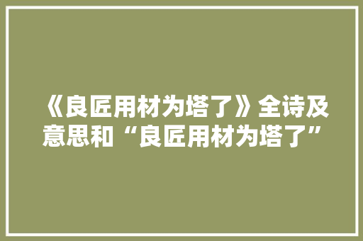 《良匠用材为塔了》全诗及意思和“良匠用材为塔了”的拼音注释