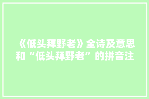 《低头拜野老》全诗及意思和“低头拜野老”的拼音注释