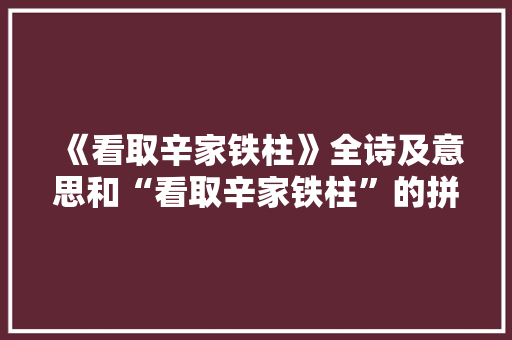 《看取辛家铁柱》全诗及意思和“看取辛家铁柱”的拼音注释