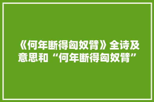 《何年断得匈奴臂》全诗及意思和“何年断得匈奴臂”的拼音注释
