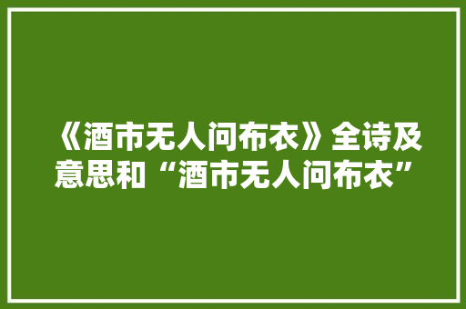 《酒市无人问布衣》全诗及意思和“酒市无人问布衣”的拼音注释