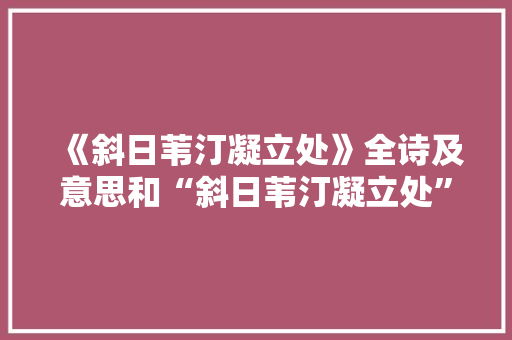《斜日苇汀凝立处》全诗及意思和“斜日苇汀凝立处”的拼音注释