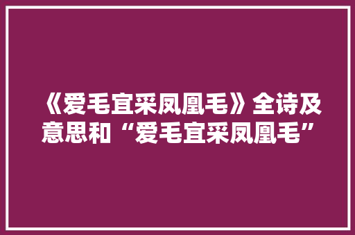 《爱毛宜采凤凰毛》全诗及意思和“爱毛宜采凤凰毛”的拼音注释