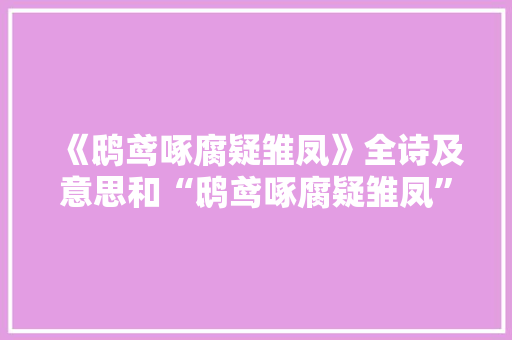 《鸱鸢啄腐疑雏凤》全诗及意思和“鸱鸢啄腐疑雏凤”的拼音注释 诗词鉴赏