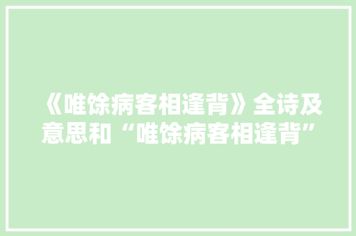 《唯馀病客相逢背》全诗及意思和“唯馀病客相逢背”的拼音注释 诗词鉴赏