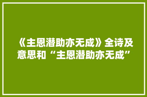 《主恩潜助亦无成》全诗及意思和“主恩潜助亦无成”的拼音注释