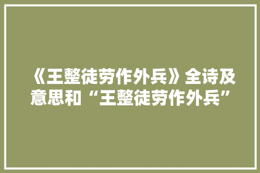 《王整徒劳作外兵》全诗及意思和“王整徒劳作外兵”的拼音注释 诗词鉴赏