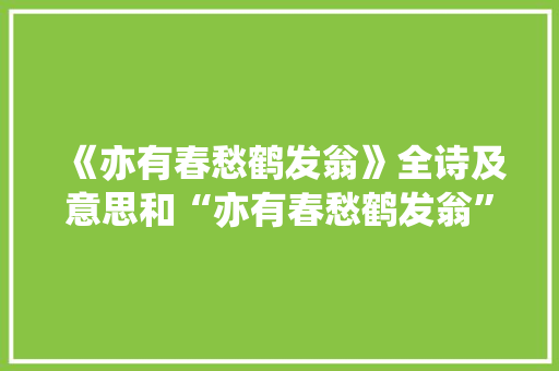 《亦有春愁鹤发翁》全诗及意思和“亦有春愁鹤发翁”的拼音注释