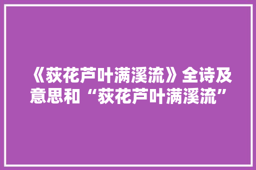 《荻花芦叶满溪流》全诗及意思和“荻花芦叶满溪流”的拼音注释 诗词鉴赏