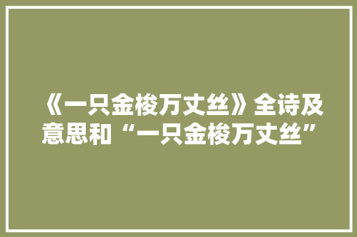《一只金梭万丈丝》全诗及意思和“一只金梭万丈丝”的拼音注释 诗词鉴赏