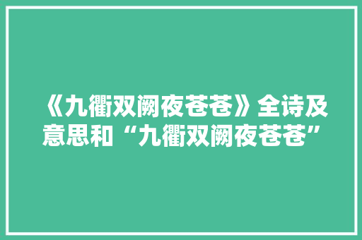《九衢双阙夜苍苍》全诗及意思和“九衢双阙夜苍苍”的拼音注释 诗词鉴赏