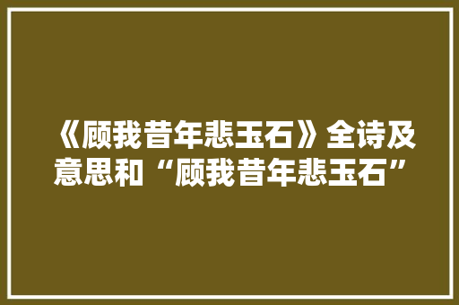 《顾我昔年悲玉石》全诗及意思和“顾我昔年悲玉石”的拼音注释