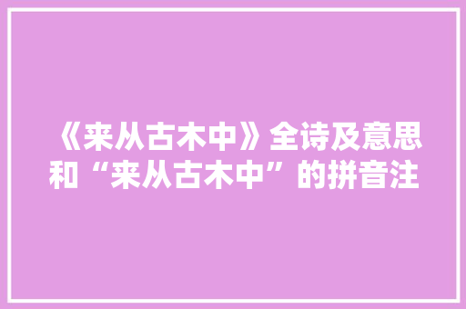 《来从古木中》全诗及意思和“来从古木中”的拼音注释 诗词鉴赏