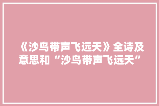 《沙鸟带声飞远天》全诗及意思和“沙鸟带声飞远天”的拼音注释 诗词鉴赏