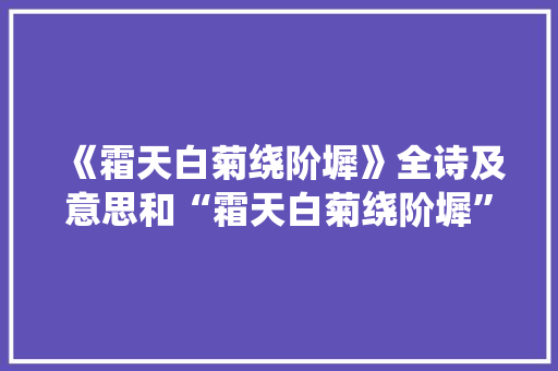 《霜天白菊绕阶墀》全诗及意思和“霜天白菊绕阶墀”的拼音注释