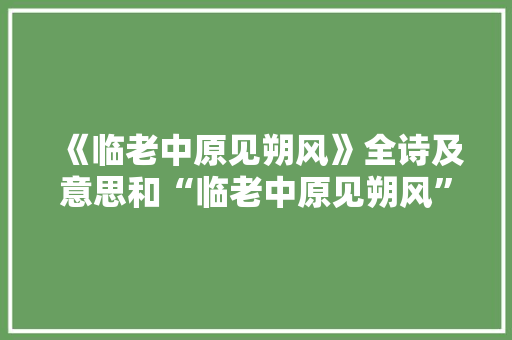 《临老中原见朔风》全诗及意思和“临老中原见朔风”的拼音注释