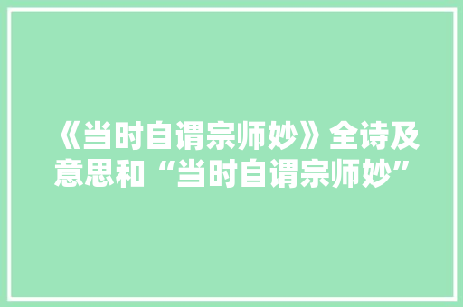 《当时自谓宗师妙》全诗及意思和“当时自谓宗师妙”的拼音注释 诗词鉴赏