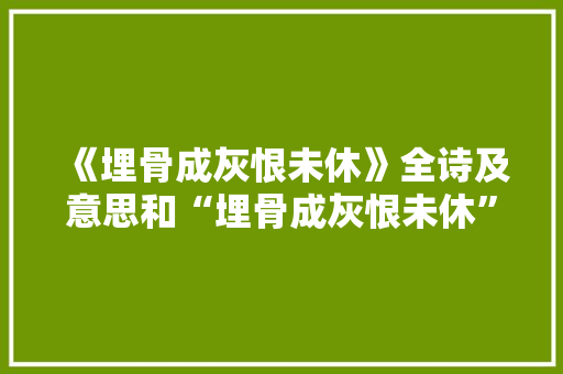 《埋骨成灰恨未休》全诗及意思和“埋骨成灰恨未休”的拼音注释 诗词鉴赏