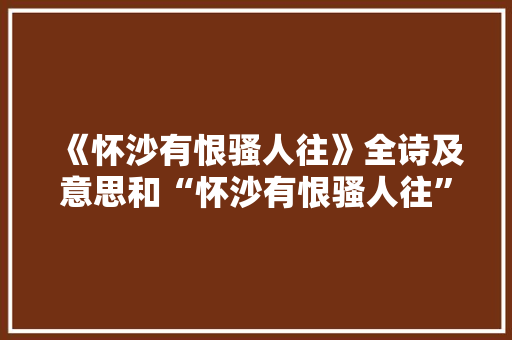 《怀沙有恨骚人往》全诗及意思和“怀沙有恨骚人往”的拼音注释 诗词鉴赏