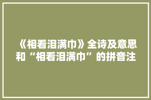 《相看泪满巾》全诗及意思和“相看泪满巾”的拼音注释