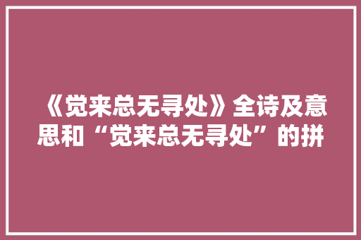 《觉来总无寻处》全诗及意思和“觉来总无寻处”的拼音注释