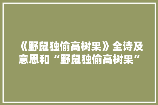 《野鼠独偷高树果》全诗及意思和“野鼠独偷高树果”的拼音注释 诗词鉴赏