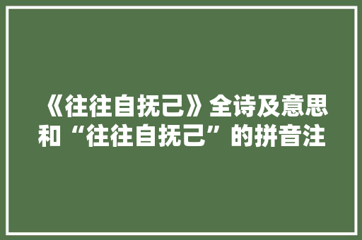 《往往自抚己》全诗及意思和“往往自抚己”的拼音注释 诗词鉴赏