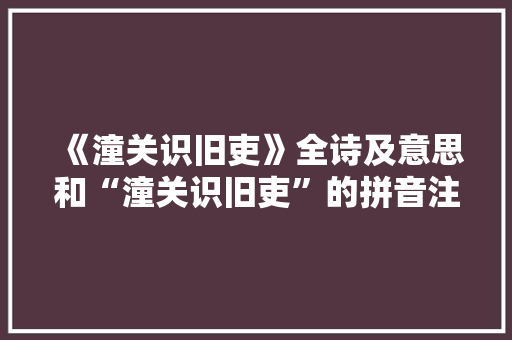 《潼关识旧吏》全诗及意思和“潼关识旧吏”的拼音注释 诗词鉴赏