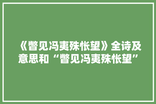 《瞥见冯夷殊怅望》全诗及意思和“瞥见冯夷殊怅望”的拼音注释