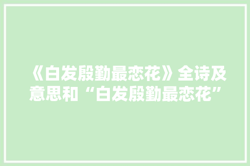 《白发殷勤最恋花》全诗及意思和“白发殷勤最恋花”的拼音注释