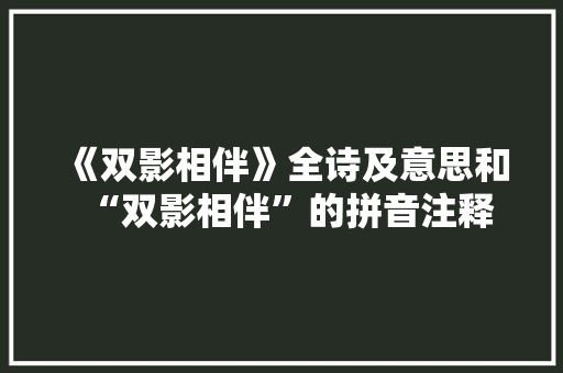 《双影相伴》全诗及意思和“双影相伴”的拼音注释