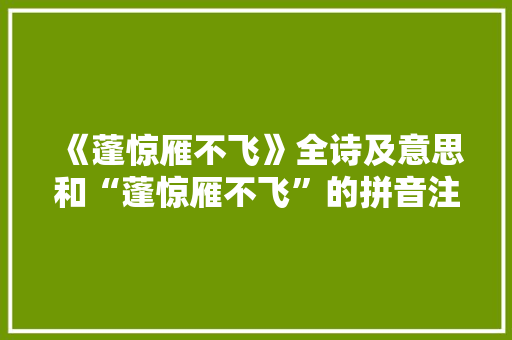 《蓬惊雁不飞》全诗及意思和“蓬惊雁不飞”的拼音注释 诗词鉴赏