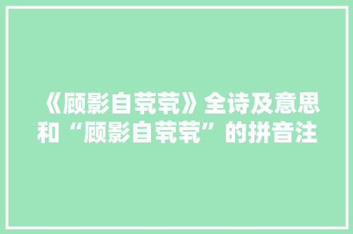 《顾影自茕茕》全诗及意思和“顾影自茕茕”的拼音注释 诗词鉴赏