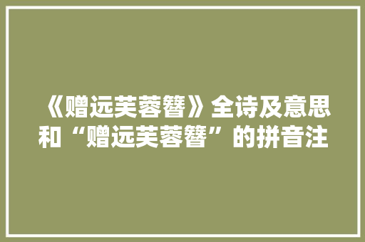 《赠远芙蓉簪》全诗及意思和“赠远芙蓉簪”的拼音注释
