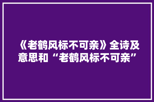 《老鹤风标不可亲》全诗及意思和“老鹤风标不可亲”的拼音注释