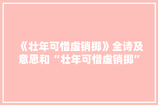 《壮年可惜虚销掷》全诗及意思和“壮年可惜虚销掷”的拼音注释