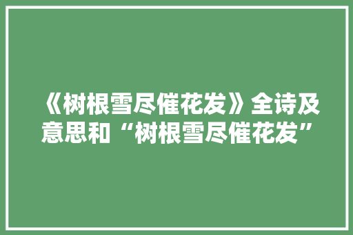 《树根雪尽催花发》全诗及意思和“树根雪尽催花发”的拼音注释 诗词鉴赏