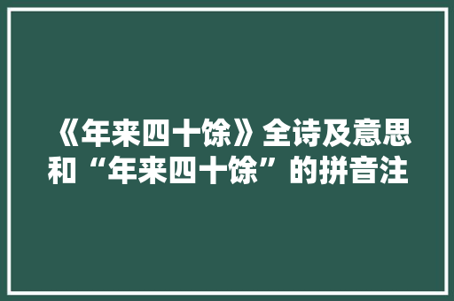 《年来四十馀》全诗及意思和“年来四十馀”的拼音注释 诗词鉴赏