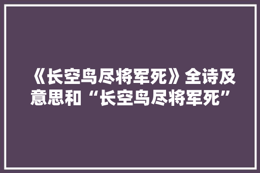 《长空鸟尽将军死》全诗及意思和“长空鸟尽将军死”的拼音注释