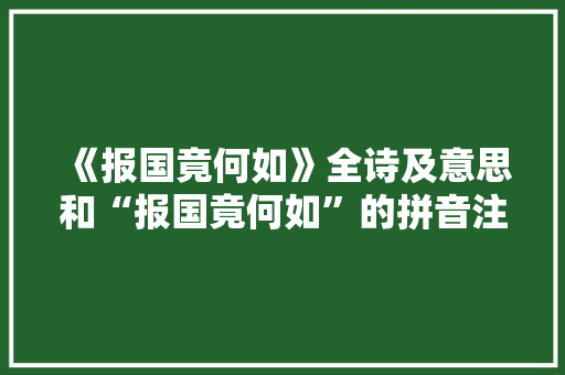 《报国竟何如》全诗及意思和“报国竟何如”的拼音注释 诗词鉴赏