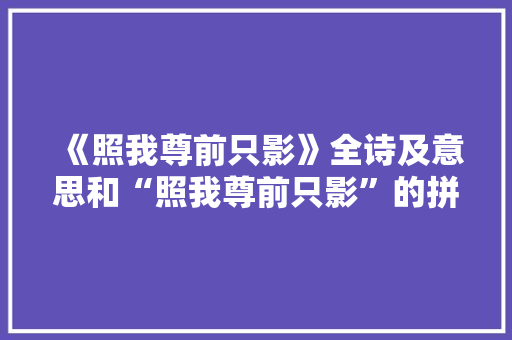 《照我尊前只影》全诗及意思和“照我尊前只影”的拼音注释