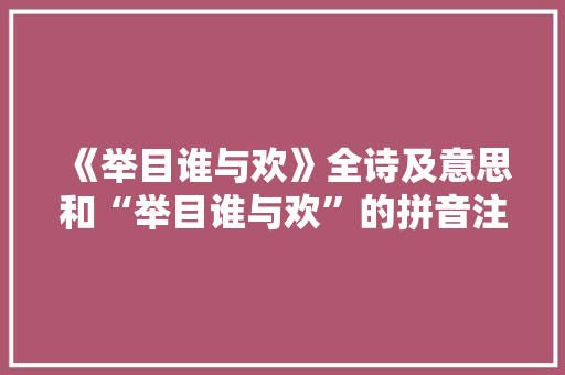 《举目谁与欢》全诗及意思和“举目谁与欢”的拼音注释