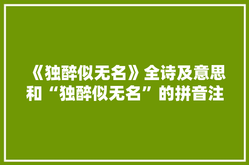 《独醉似无名》全诗及意思和“独醉似无名”的拼音注释 诗词鉴赏