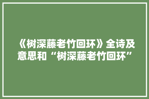 《树深藤老竹回环》全诗及意思和“树深藤老竹回环”的拼音注释